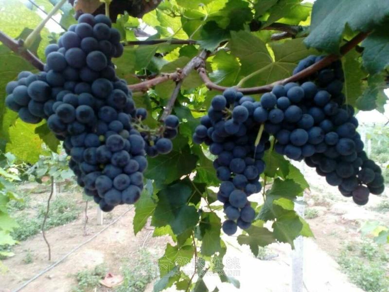 亲们看过来,进入倒计时了!(截止9月10日)