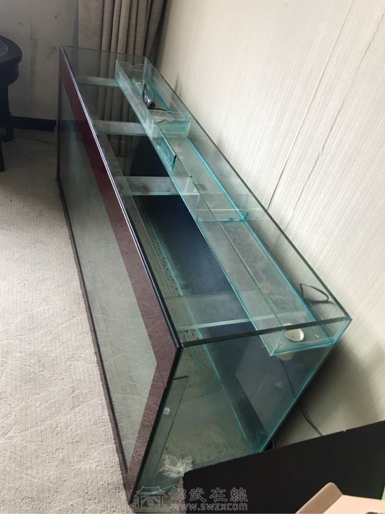谁家有没有闲置的长方形玻璃鱼缸