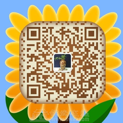 mmqrcode1505123409672.png