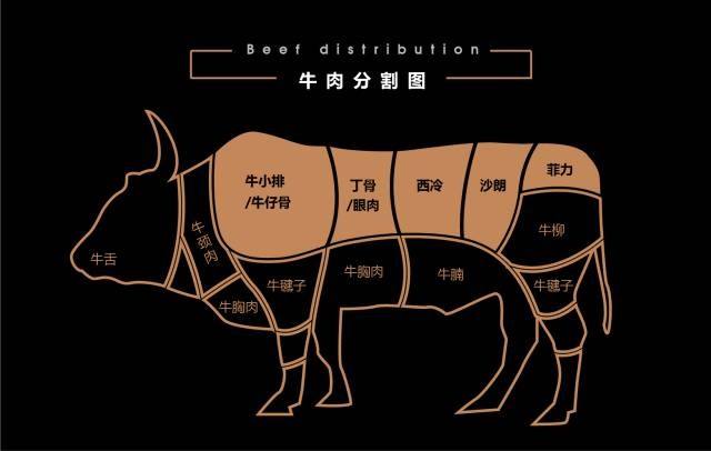 牛肉的正确切法图解图片