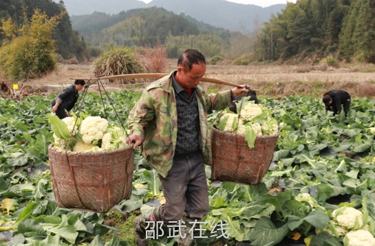 微信截图_20200212110952.png