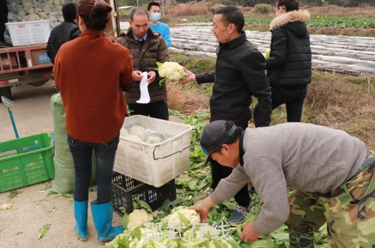 微信截图_20200212111018.png