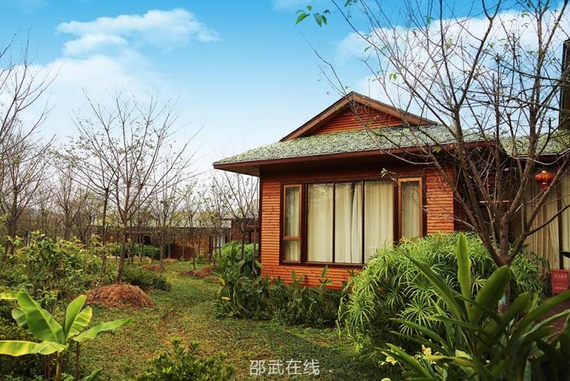 大竹樱花虹里的木屋民宿有人去体验过吗