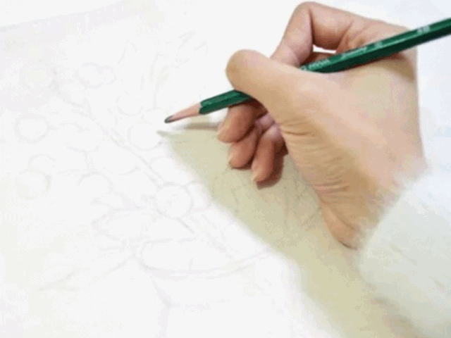 动画.gif