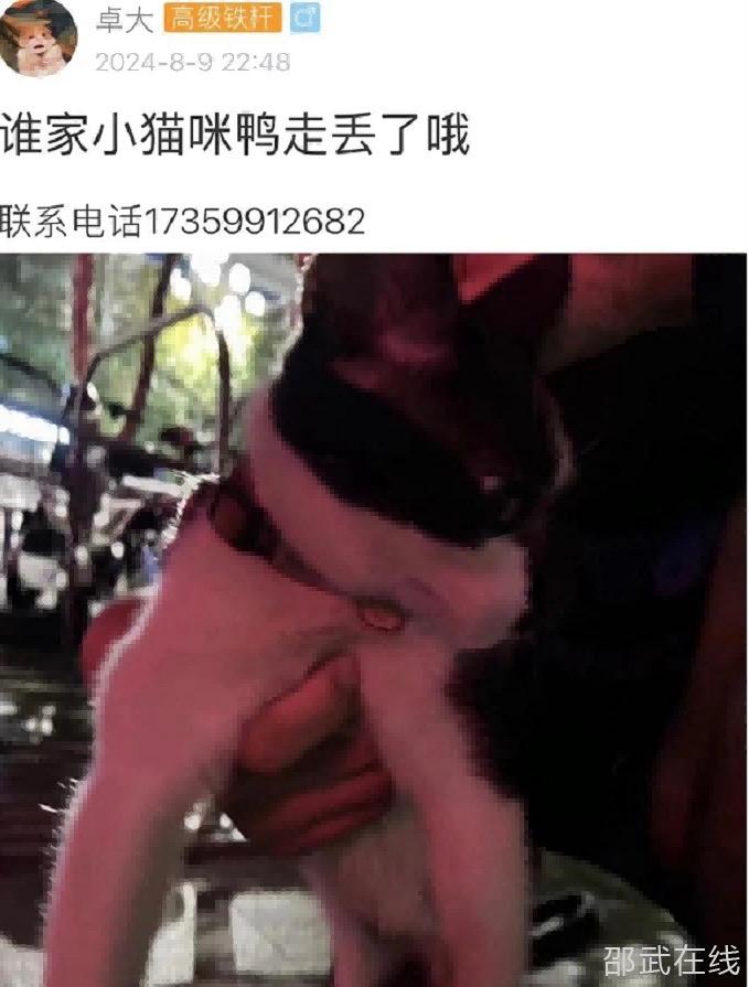 1B8695FA-0F52-4878-9445-CCB18F0AEFF5.jpeg