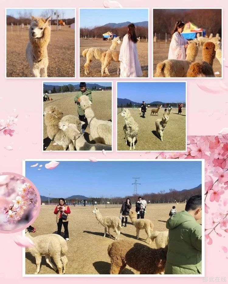 微信图片_20250206102437.jpg
