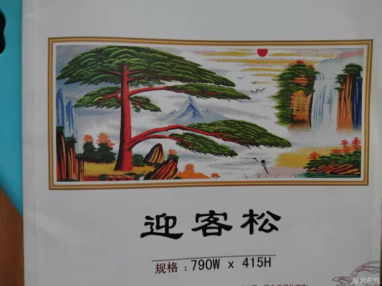 迎客松1