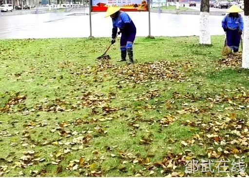 微信图片_20250408104001.jpg