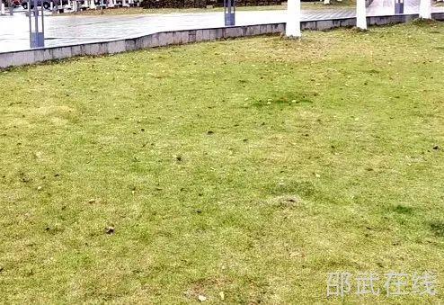 微信图片_20250408103950.jpg