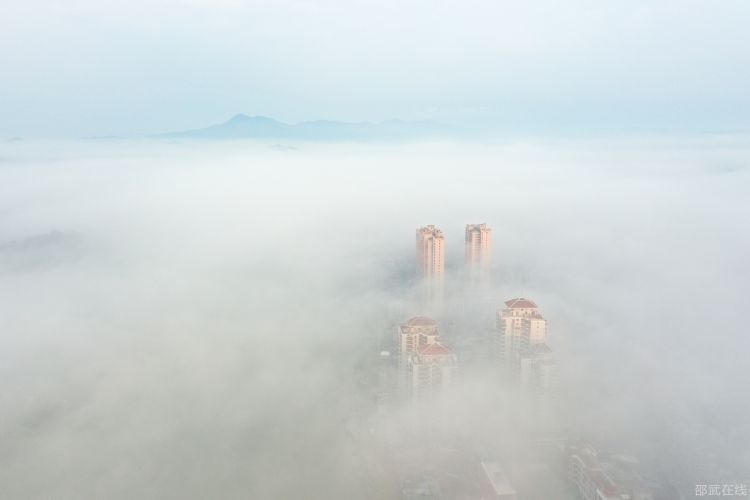 DJI_0609_副本.jpg