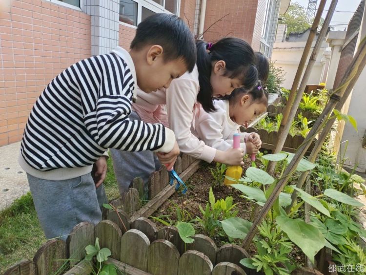 微信图片_20250501143529.jpg