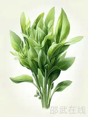 u=977769036,700129392&amp;fm=253&amp;fmt=auto&amp;app=138&amp;f=JPEG.webp.png