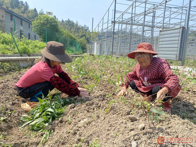 20250515125026_s6rl0bunan.png