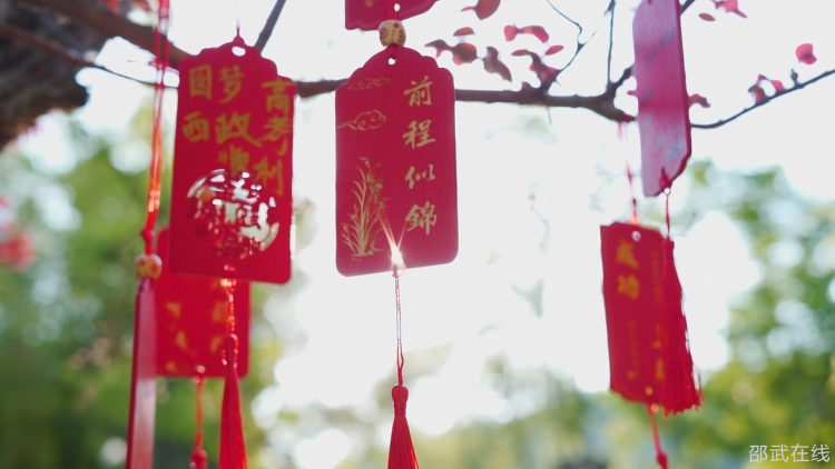 微信图片_20250516093054.png