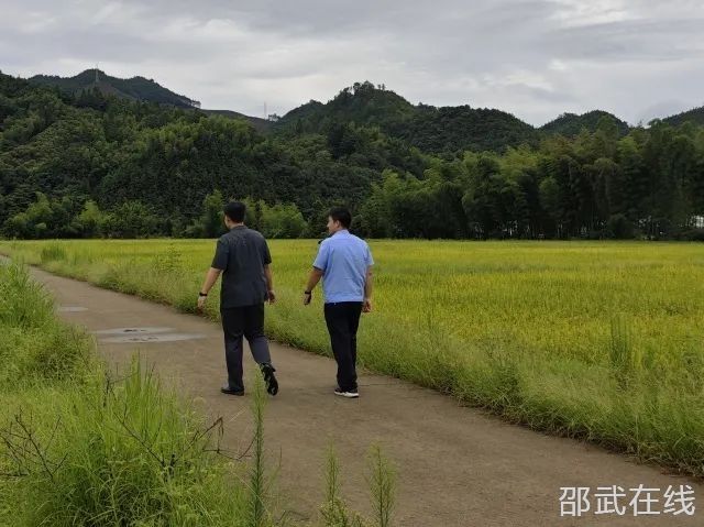 DSC000.jpg