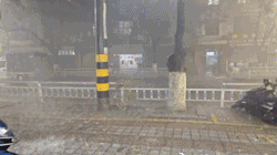 1111.gif