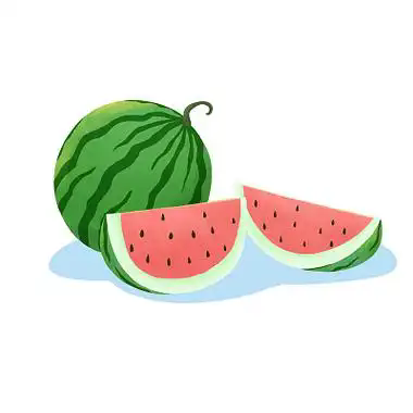 u=1404688912,3119537663&amp;fm=253&amp;fmt=auto&amp;app=138&amp;f=JPEG.webp.png