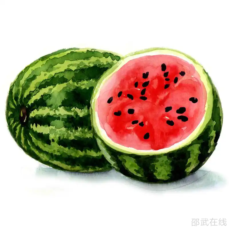 u=1792435196,1272459816&amp;fm=253&amp;fmt=auto&amp;app=120&amp;f=JPEG.webp.png