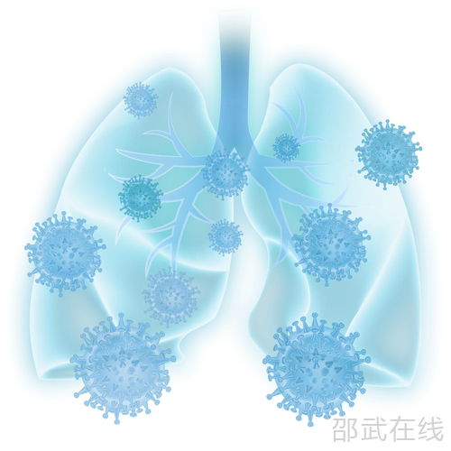 u=1484435649,611008224&amp;fm=253&amp;fmt=auto&amp;app=138&amp;f=PNG.webp.png