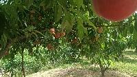 ΢��ͼƬ_20260519184612(1).jpg