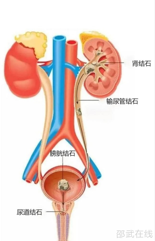 4f686e40-f12c-4d96-b42e-bf2848611405.png