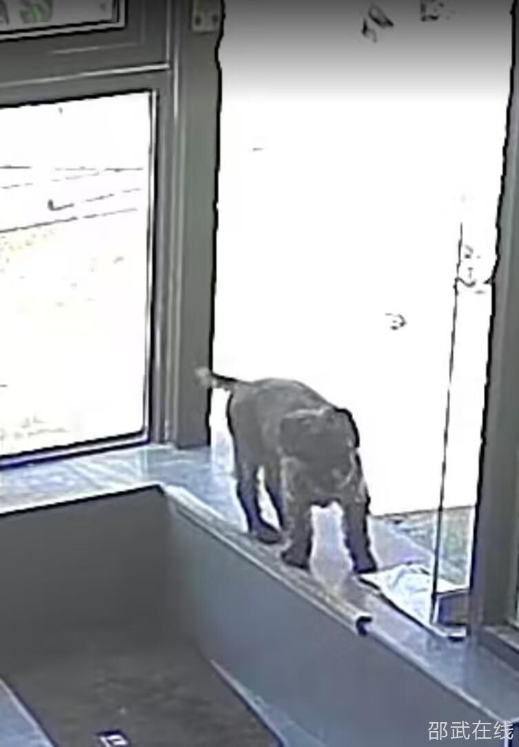8BF7E770A2B9AE21CF5B77969DC1BA83.jpg